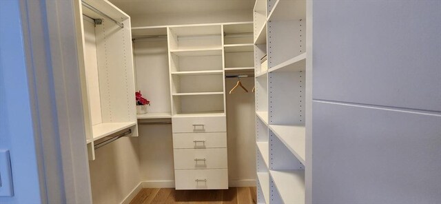 spacious closet featuring wood finished floors