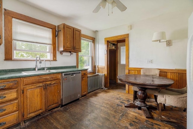 kitchen with dishwasher, a sink, radiator, wainscoting, and dark wood-style flooring