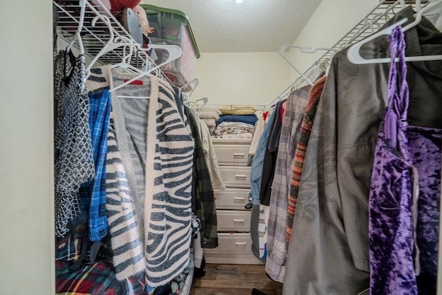 spacious closet with wood finished floors