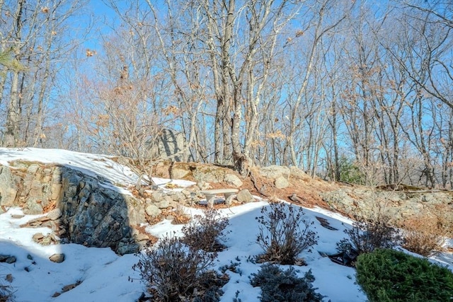 view of snowy landscape