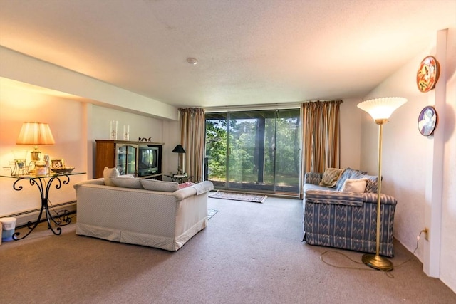 carpeted living room with a baseboard heating unit and expansive windows