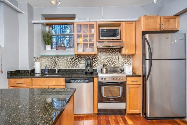kitchen with appliances with stainless steel finishes, a sink, range hood, wood-type flooring, and tasteful backsplash