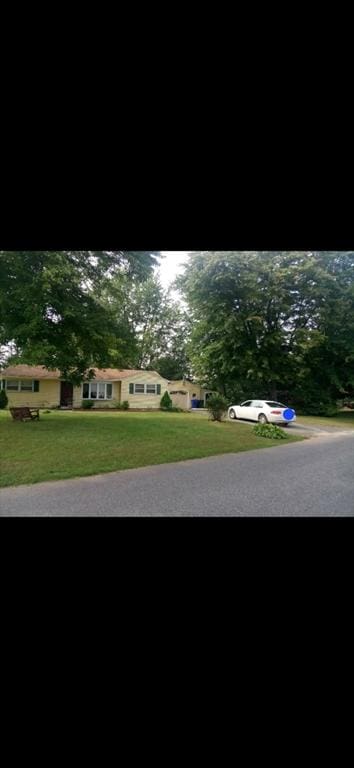 20 Treetop Ave, Springfield, MA 01118 - view of front of home featuring a front yard