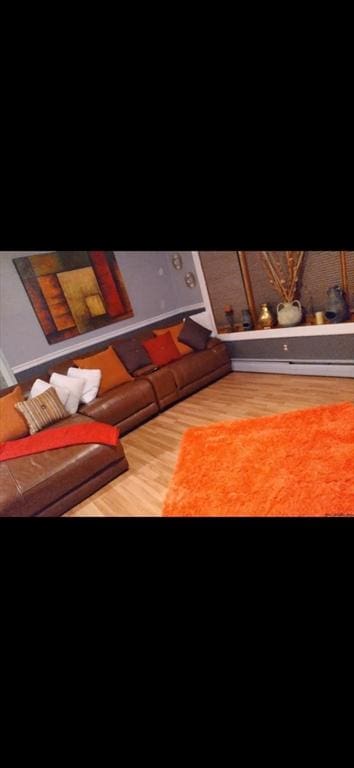20 Treetop Ave, Springfield, MA 01118 - living area with wood finished floors