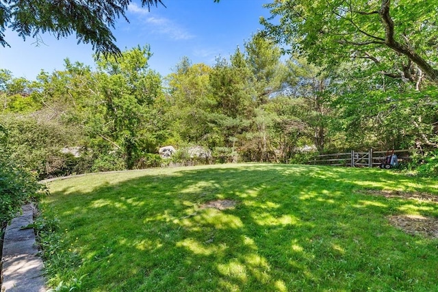 113 Bray St, Gloucester, MA 01930 - view of yard