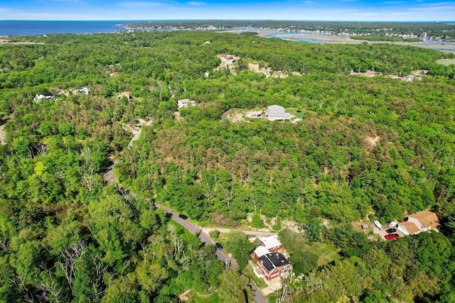 113 Bray St, Gloucester, MA 01930 - aerial view of property and surrounding area with a forest