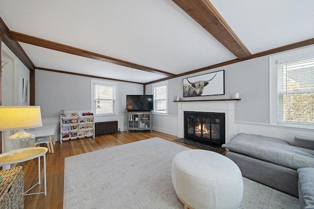 living area featuring a fireplace with flush hearth, radiator heating unit, ornamental molding, beam ceiling, and wood finished floors