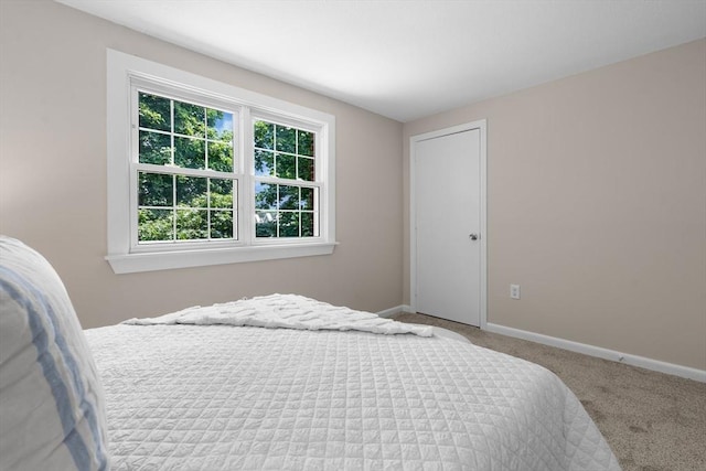234 Low St Unit 16, Newburyport, MA 01950 - bedroom featuring carpet floors and baseboards