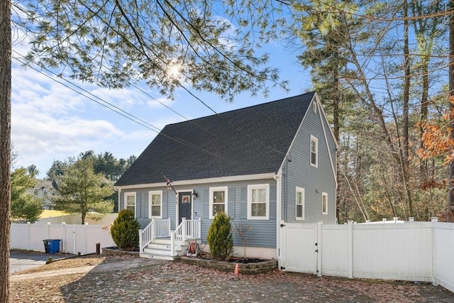 view of cape cod-style house