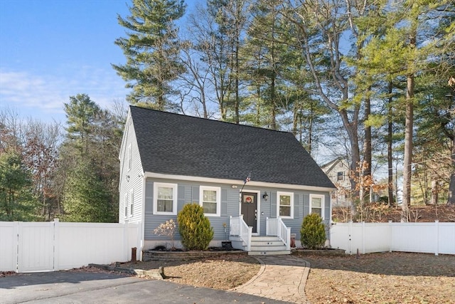 view of cape cod-style house