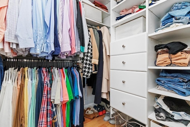 spacious closet featuring hardwood / wood-style flooring