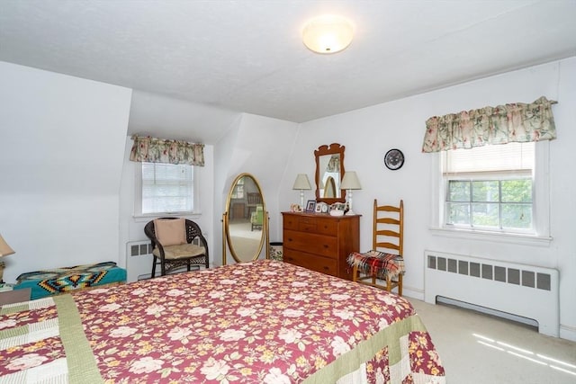 12 Bay State Rd, Natick, MA 01760 - bedroom with radiator heating unit and light carpet
