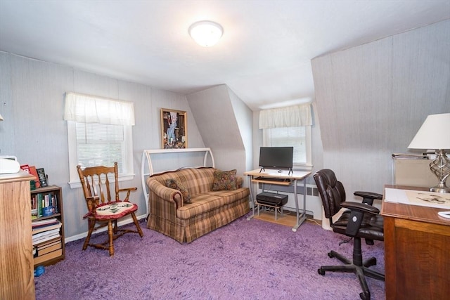 12 Bay State Rd, Natick, MA 01760 - view of carpeted home office