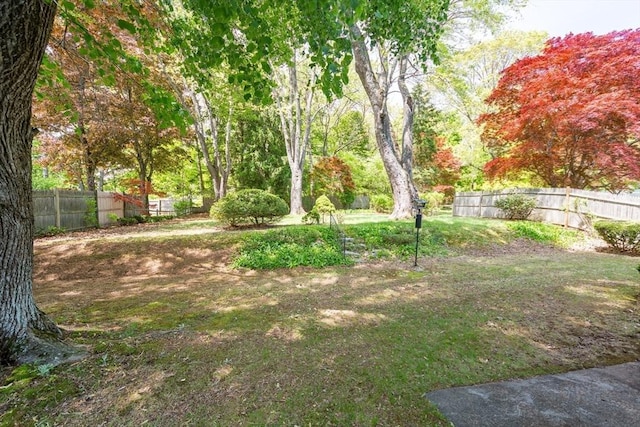 12 Bay State Rd, Natick, MA 01760 - view of yard featuring fence