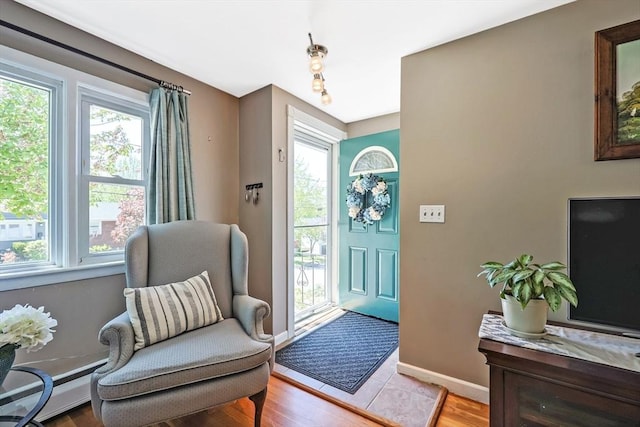 living area featuring baseboard heating, healthy amount of natural light, wood finished floors, and baseboards