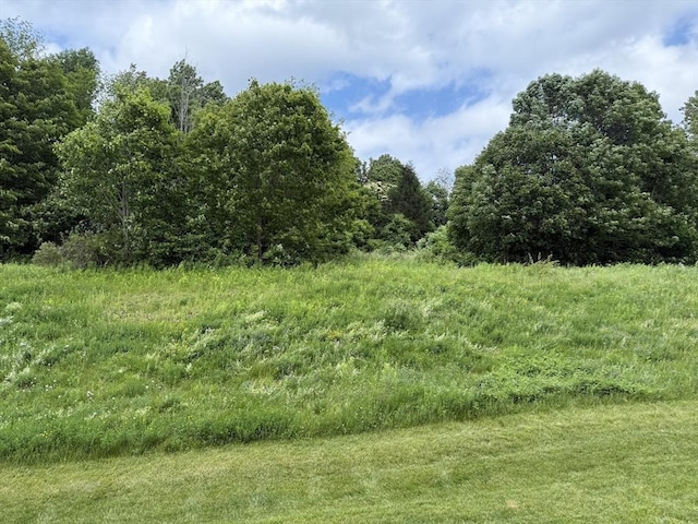 10 Soucy Dr Unit 10, Rutland, MA 01543 - view of undeveloped land