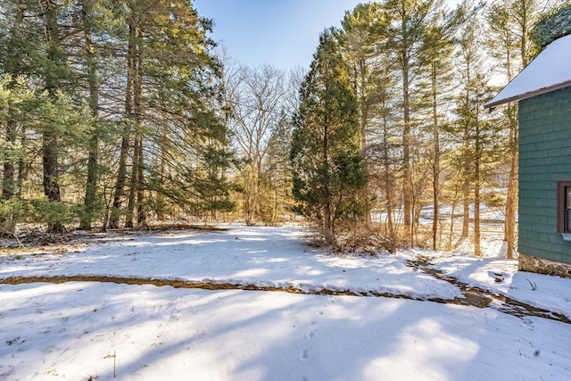 view of yard covered in snow