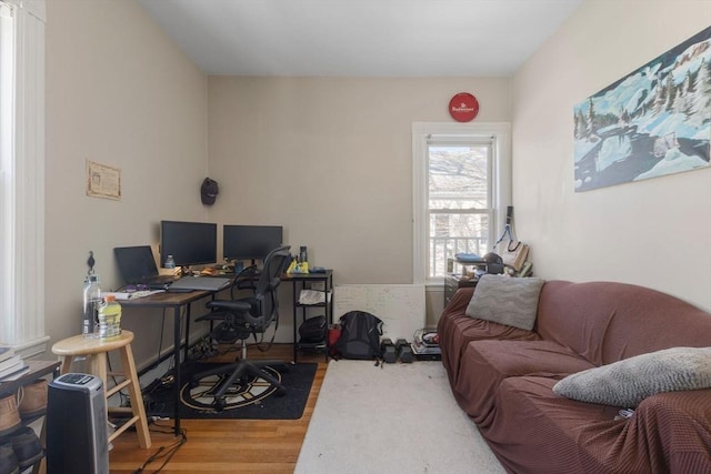 office featuring wood finished floors
