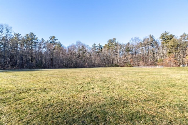 9 Adam St Unit 12, Easton, MA 02375 - view of green lawn with a forest view
