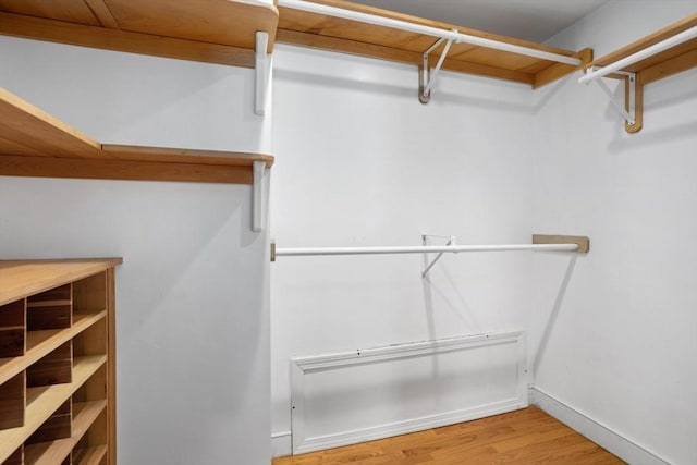 spacious closet featuring wood finished floors