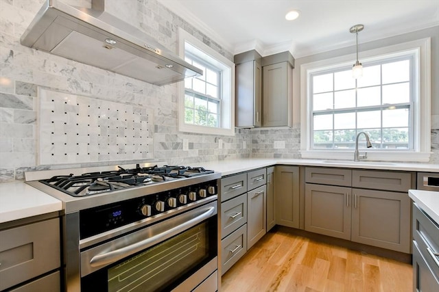 kitchen with stainless steel gas range oven, gray cabinets, a sink, extractor fan, and crown molding