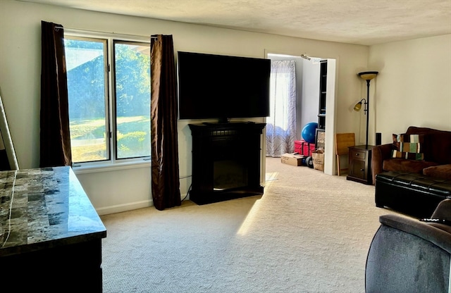 living room with light carpet and a textured ceiling