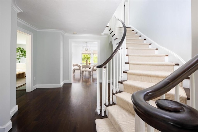 271 Greenwood St, Newton, MA 02459 - staircase featuring wood finished floors, ornamental molding, and baseboards