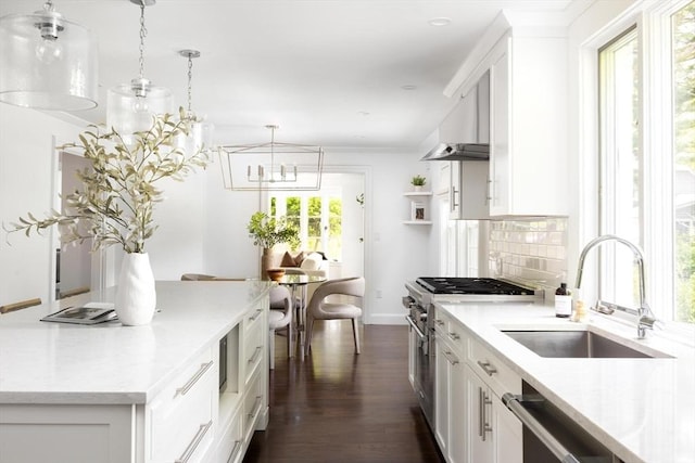 271 Greenwood St, Newton, MA 02459 - kitchen featuring stainless steel appliances, dark wood-style floors, a sink, and white cabinets