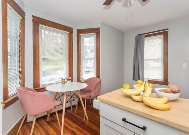 57 Prospect St, Watertown, MA 02472 - dining room with wood finished floors, a ceiling fan, and plenty of natural light