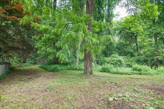 48 Northern Ave Unit 48, Northampton, MA 01060 - view of woods