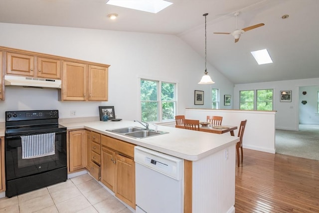 48 Northern Ave Unit 48, Northampton, MA 01060 - kitchen featuring black / electric stove, white dishwasher, a skylight, a sink, and under cabinet range hood