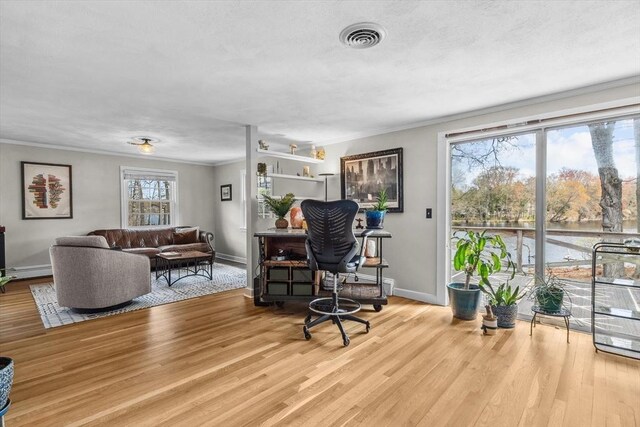living room featuring baseboards, wood finished floors, ornamental molding, and baseboard heating