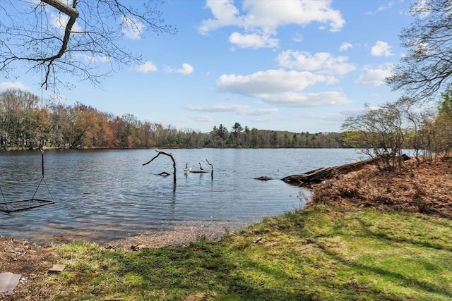 dock featuring a water view and a forest view