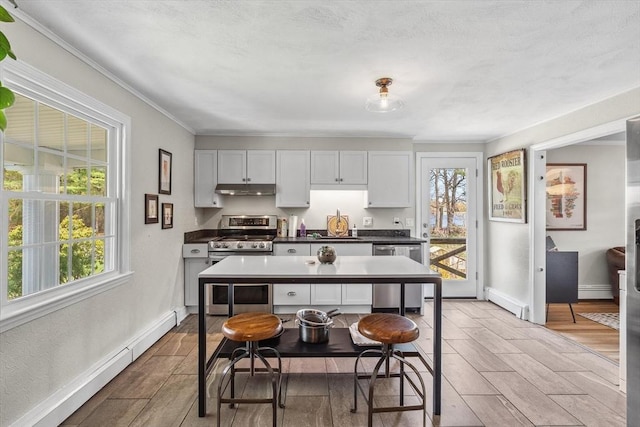 kitchen with stainless steel appliances, under cabinet range hood, a baseboard radiator, baseboards, and crown molding
