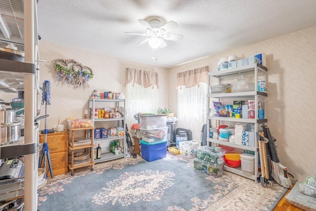 storage area featuring ceiling fan