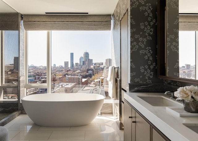 bathroom with plenty of natural light, vanity, and a washtub