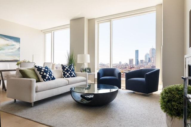 living room featuring hardwood / wood-style floors