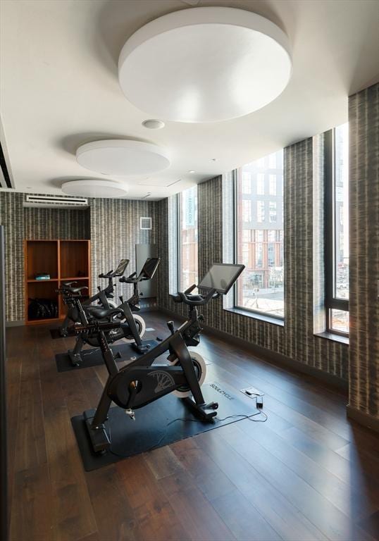 exercise room with dark wood-type flooring