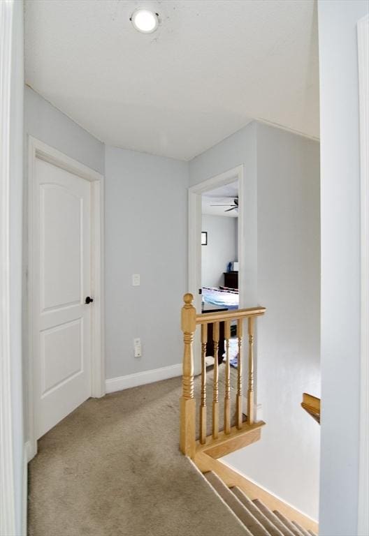 hallway featuring light carpet