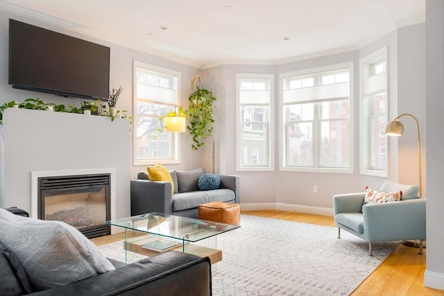 living room featuring wood-type flooring and ornamental molding