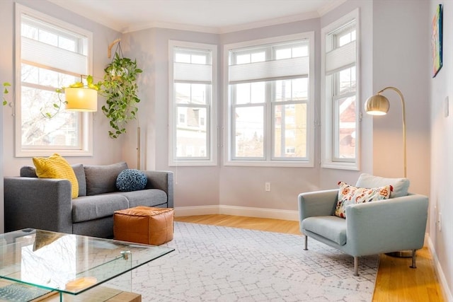 sitting room featuring crown molding and light hardwood / wood-style floors