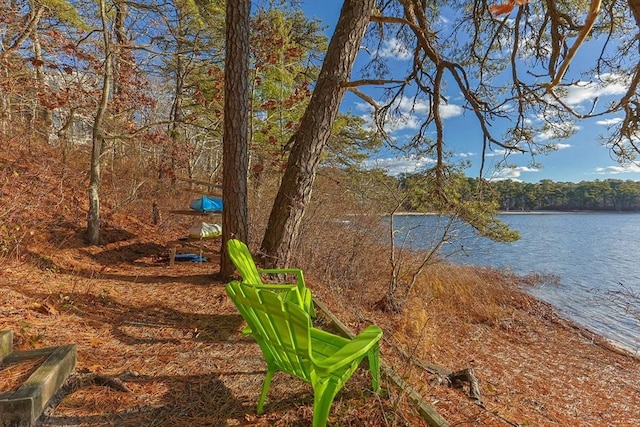 property view of water