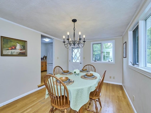 440 Forest St, Waltham, MA 02452 - dining room featuring light wood finished floors, a chandelier, ornamental molding, baseboards, and a textured ceiling
