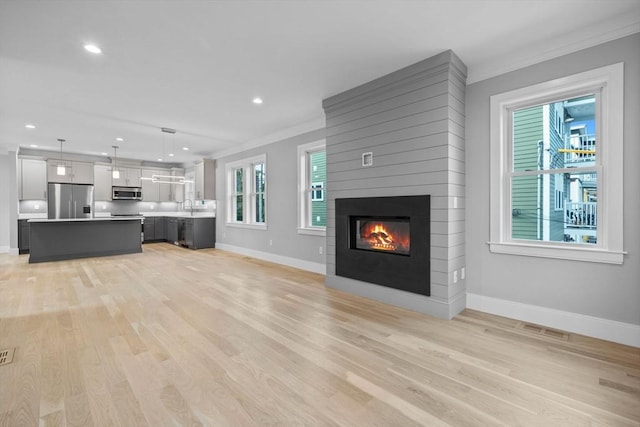 unfurnished living room with light hardwood / wood-style floors, a healthy amount of sunlight, and ornamental molding