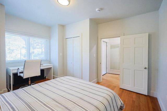 307 E Eagle St, Boston, MA 02128 - bedroom featuring light wood-style floors and a closet