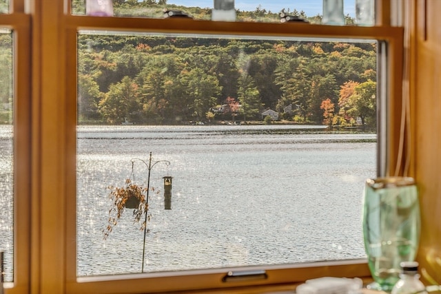 room details with a water view