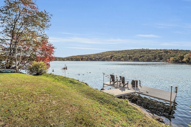 dock area with a water view and a yard