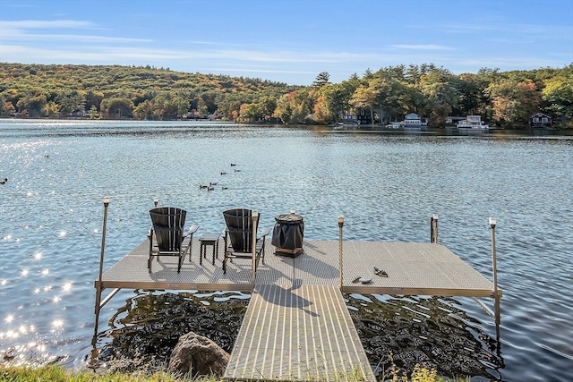 view of dock with a water view