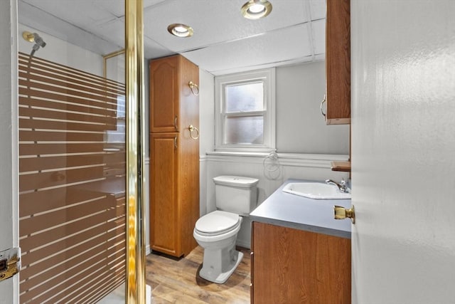 bathroom featuring toilet, vanity, and wood finished floors