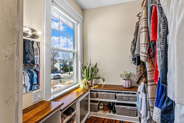 walk in closet featuring wood finished floors